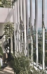 Blk 95 Skyparc @ Dawson (Queenstown), HDB 3 Rooms #544879791